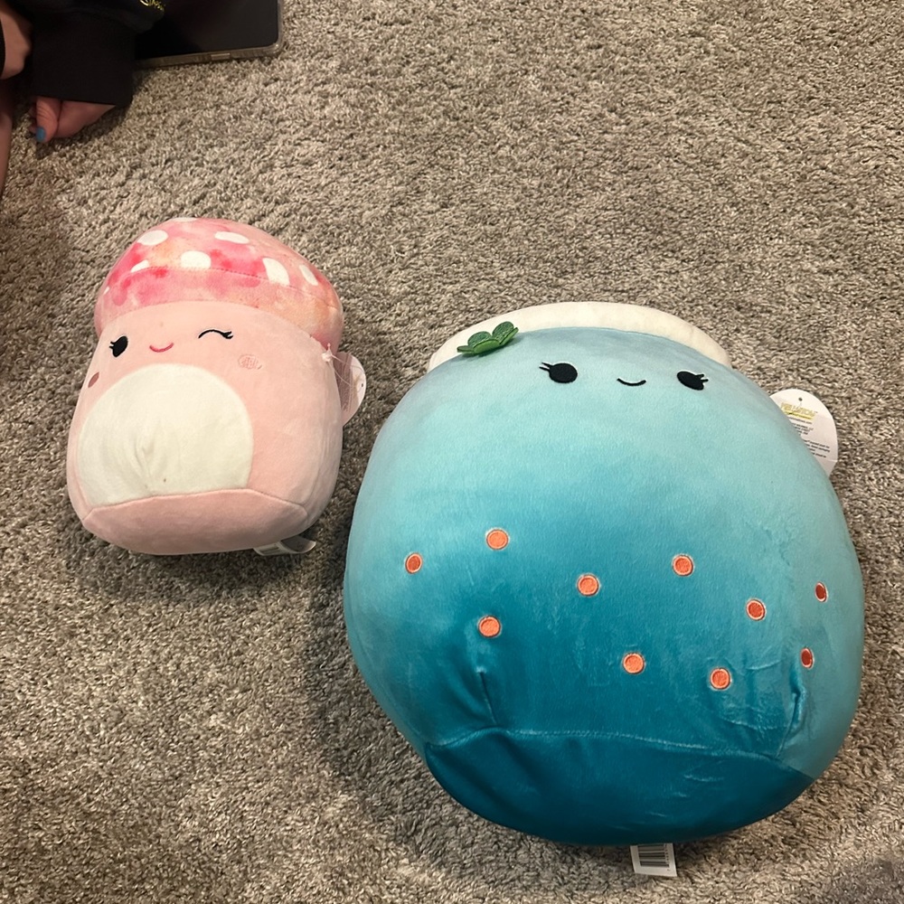 Squishmallows!! Molly and Jakarria